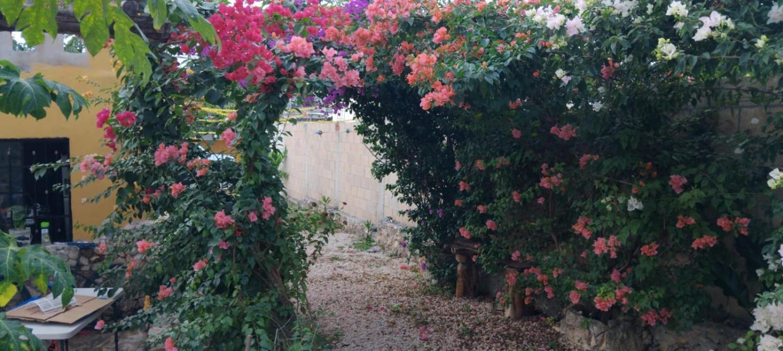 ואיאדוליד Casa Los Jarochos מראה חיצוני תמונה