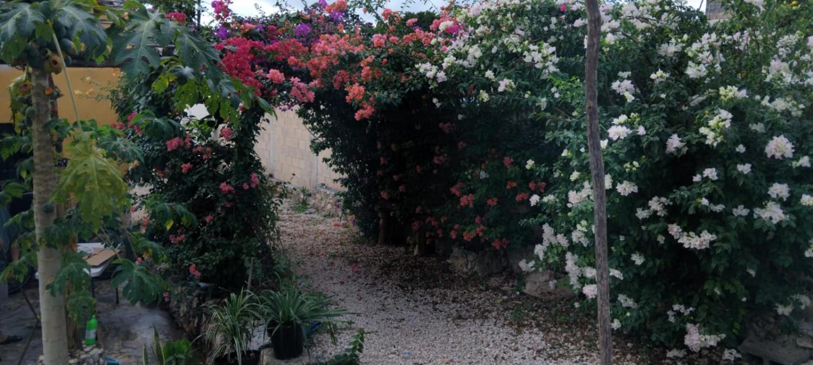 ואיאדוליד Casa Los Jarochos מראה חיצוני תמונה